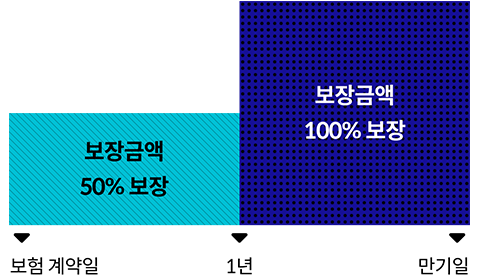 보험 계약일~1년: 보장금액 50% 보장, 1년~만기일: 보장금액 100% 보장