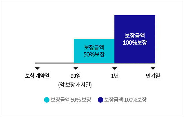 보험 계약일 90일(암 보장 개시일)~1년: 보장금액 50% 보장, 1년~만기일: 보장금액 100% 보장