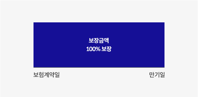 보장금액 100% 보장