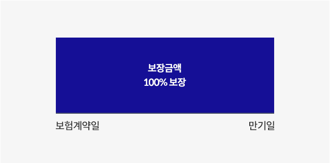 보험 계약일 - 만기일: 보장금액 100% 보장