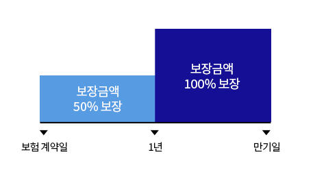 보험 계약일~1년: 보장금액 50% 보장, 1년~만기일: 보장금액 100% 보장