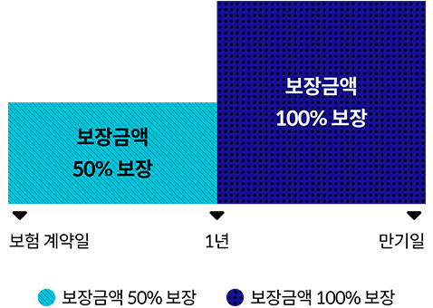 보험 계약일~1년: 보장금액 50% 보장, 1년~만기일: 보장금액 100% 보장