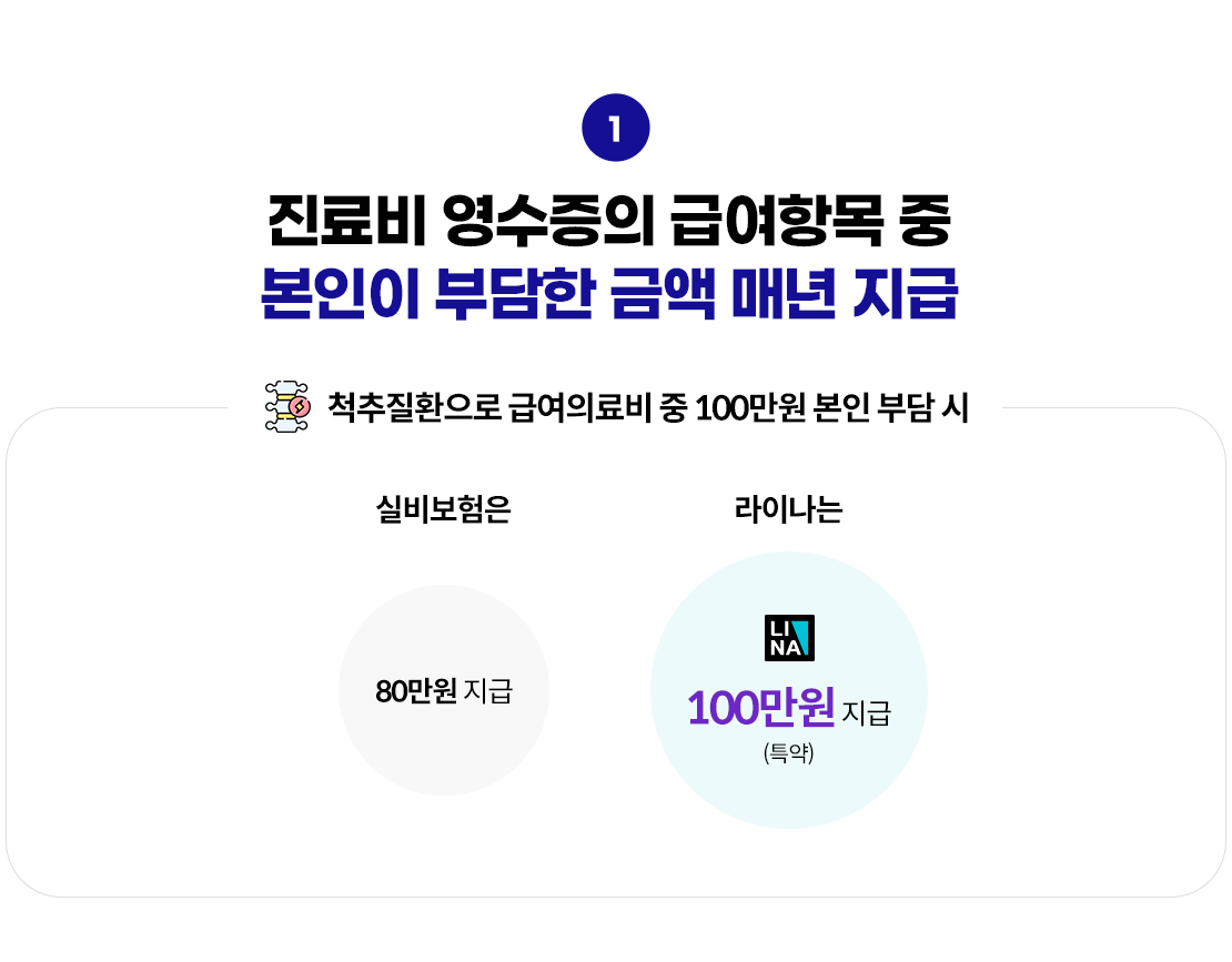 진료비 영수증의 급여항목 중 본인이 부담한 금액 매년 지급. 척추질환으로 급여의료비 중 100만원 본인 부담 시 실비보험은 80만원 지급, 라이나는 100만원 지급(특약)